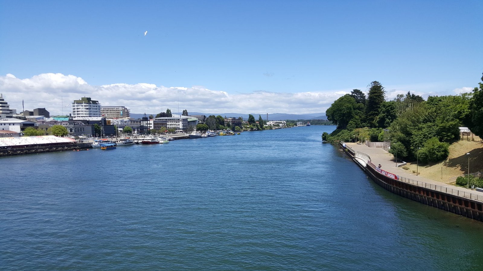 A beautiful view of Valdivia from the bridge to go to Isla Teja