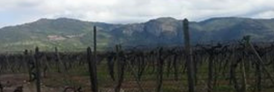 review of EODP; traveling chile; teaching in chile; EODP chile