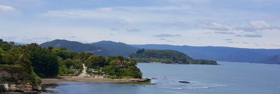 best things to do in valdivia; reasons to go to valdivia; what to do in valdivia