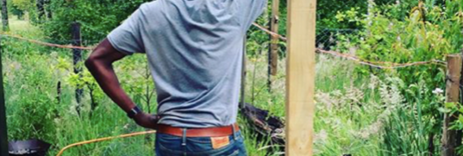 review of workaway; workaway in south america