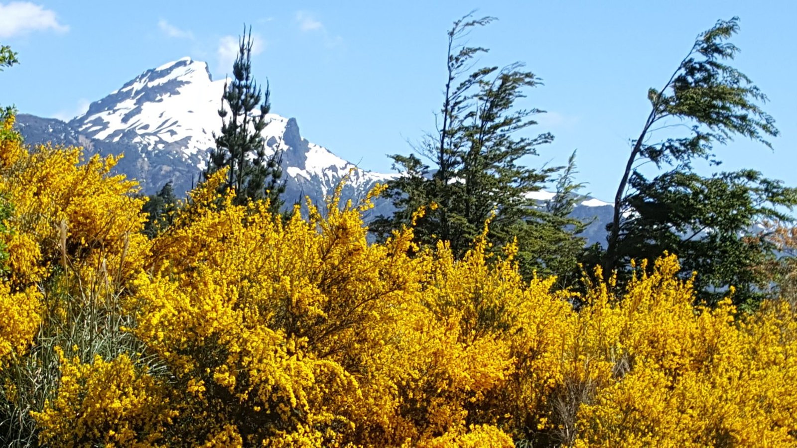 Petrohue park in Puerto Varas, Chile, a quick bus ride away