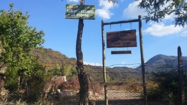 rural chile; countryside of chile; maule region