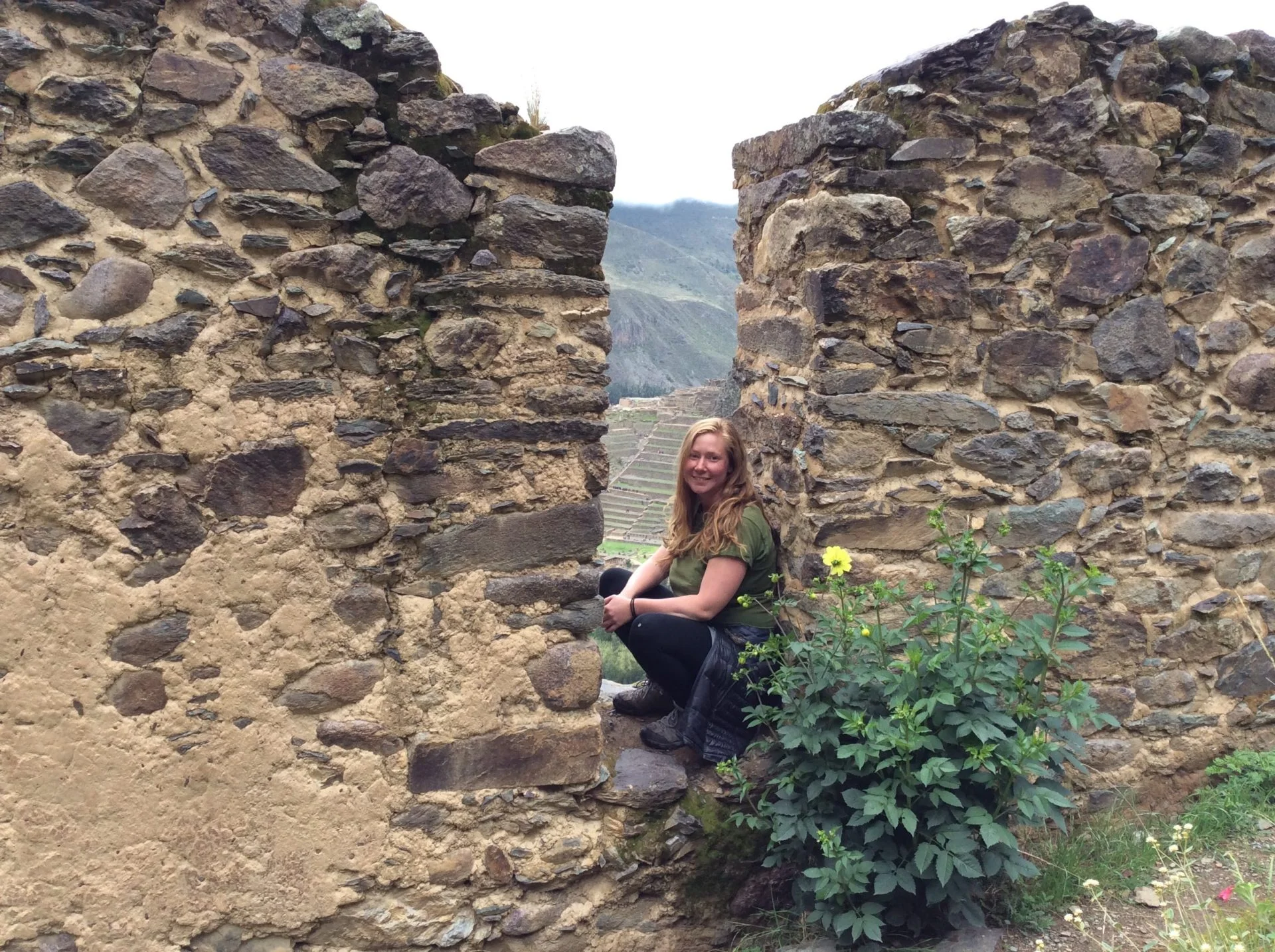 the ruins of Pinkuylluna in ollantaytambo, peru