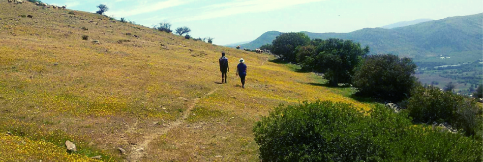 loneliness abroad in rural chile