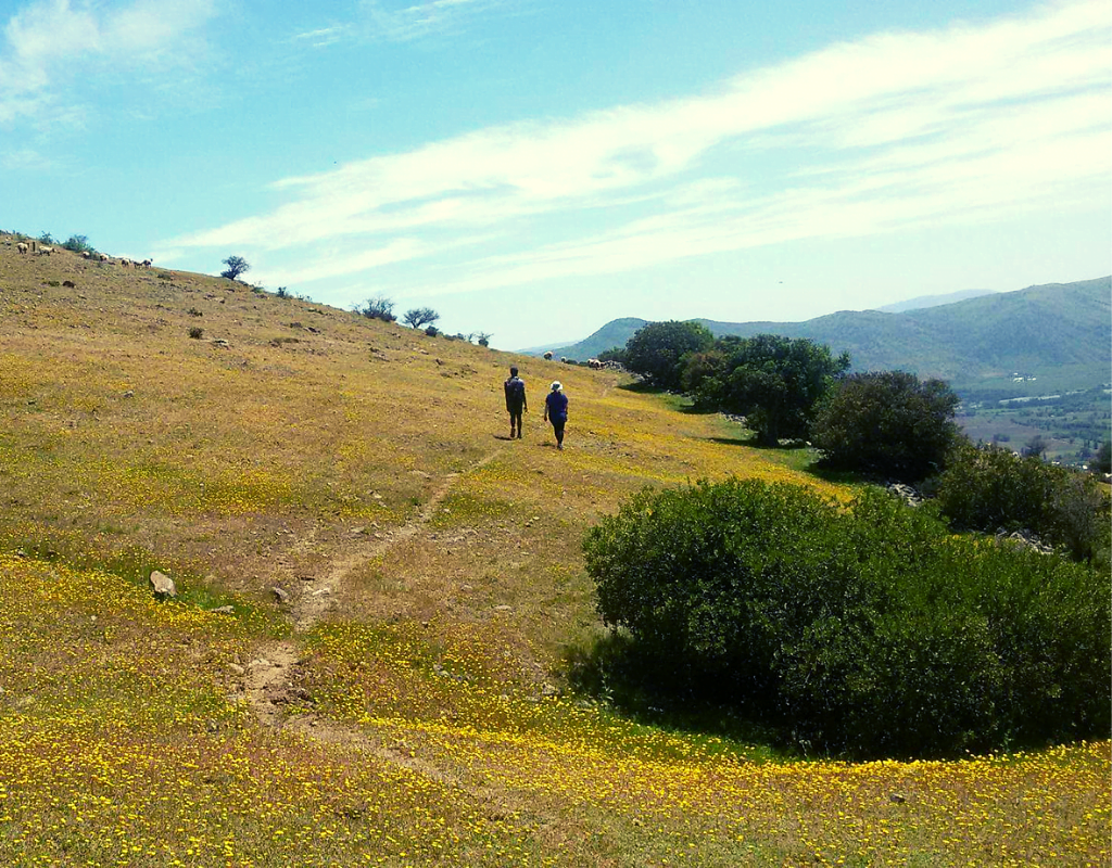loneliness abroad in rural chile