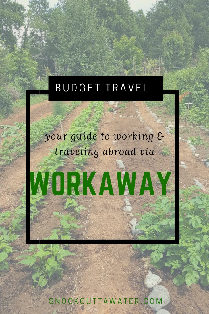 Forced to wrong size: 451x676, natural is 735x1102! Interested in working and traveling to save money and have a more genuine experience? Here's everything you need to know about using Workaway as a way to work in exchange for room and board.