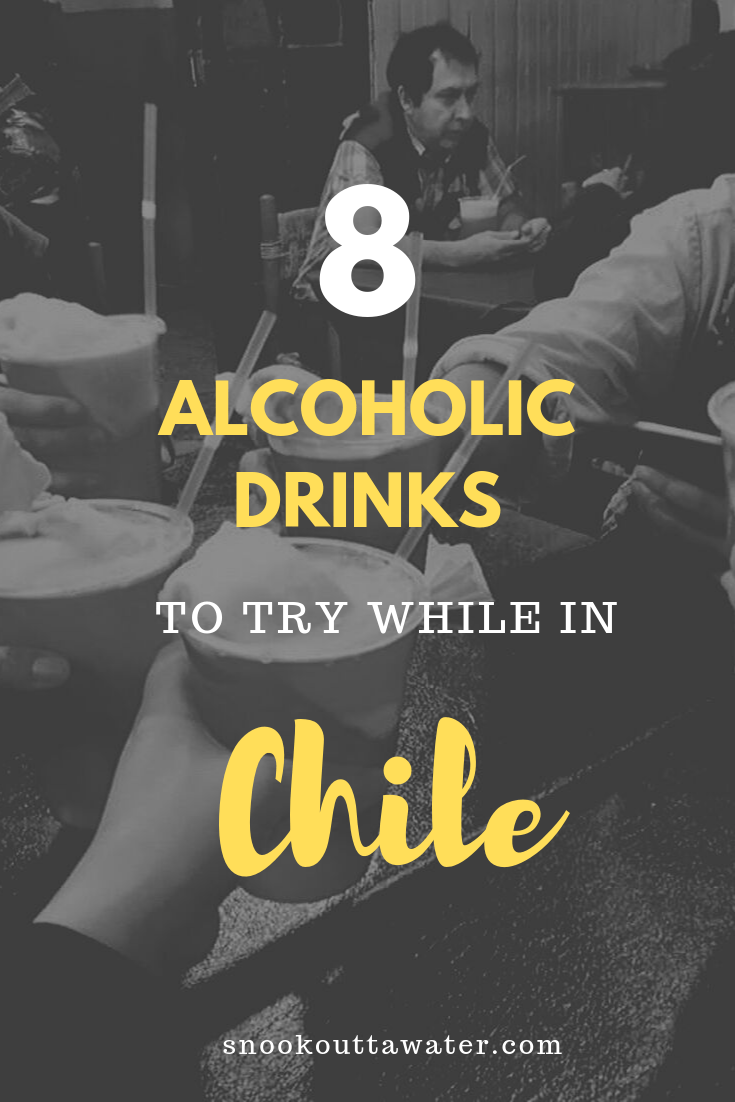 The best alcoholic drinks to try while in Chile, ranging from sweet to tangy to a nice handle of beer. 