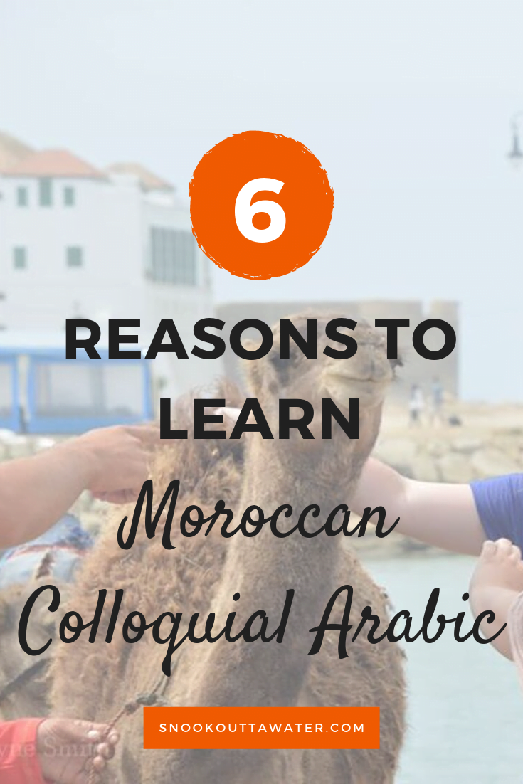 why you should learn moroccan colloquial arabic, or darius