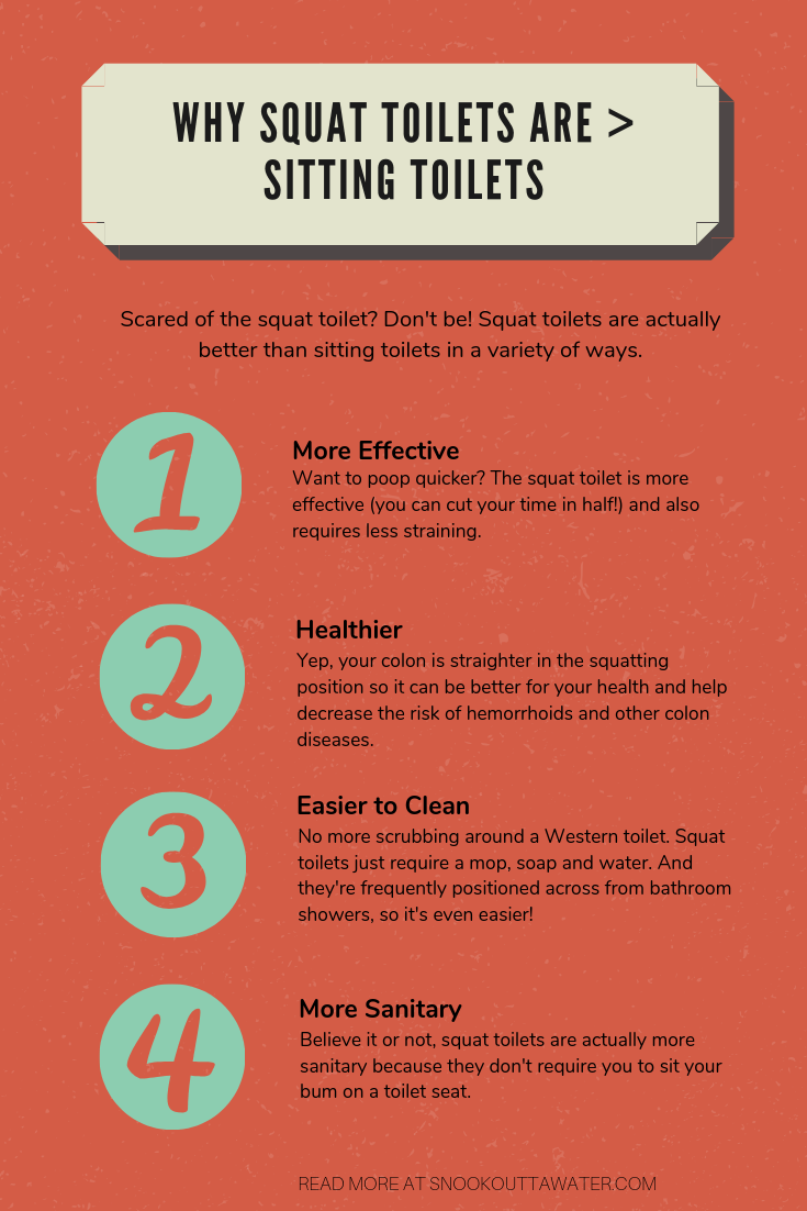 Why are squat toilets better than sitting toilets? For a variety of reasons, including health, cleanliness, length of time needed to poop and more!