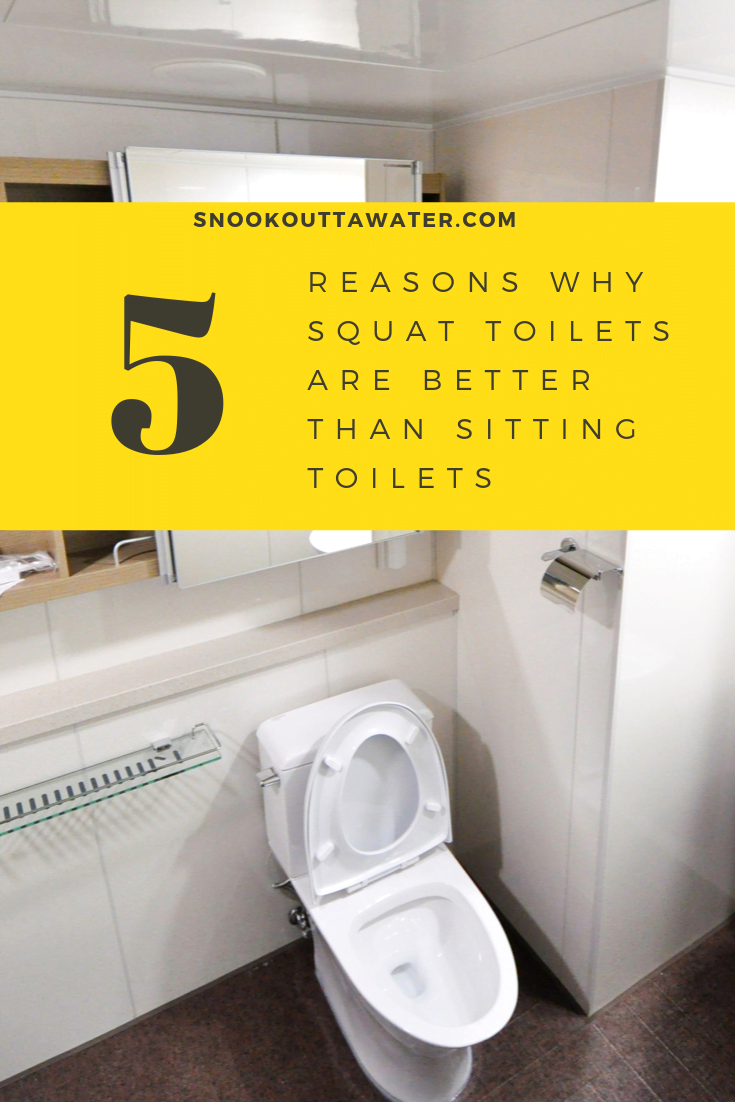 Why are squat toilets better than sitting toilets? For a variety of reasons, including health, cleanliness, length of time needed to poop and more!