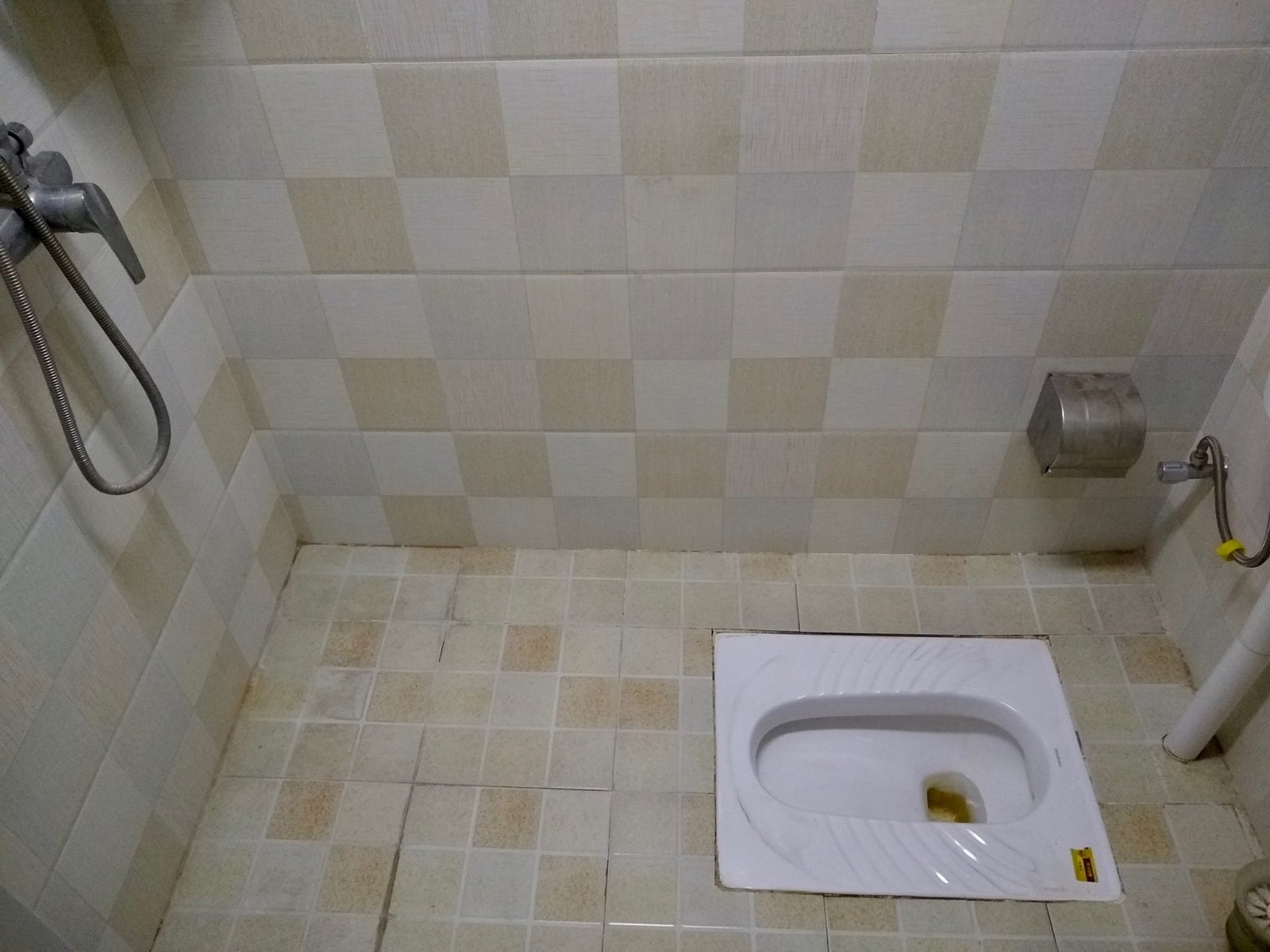 Bathrooms in much of the Asian world are set up as wet rooms, with a shower and squat toilet together