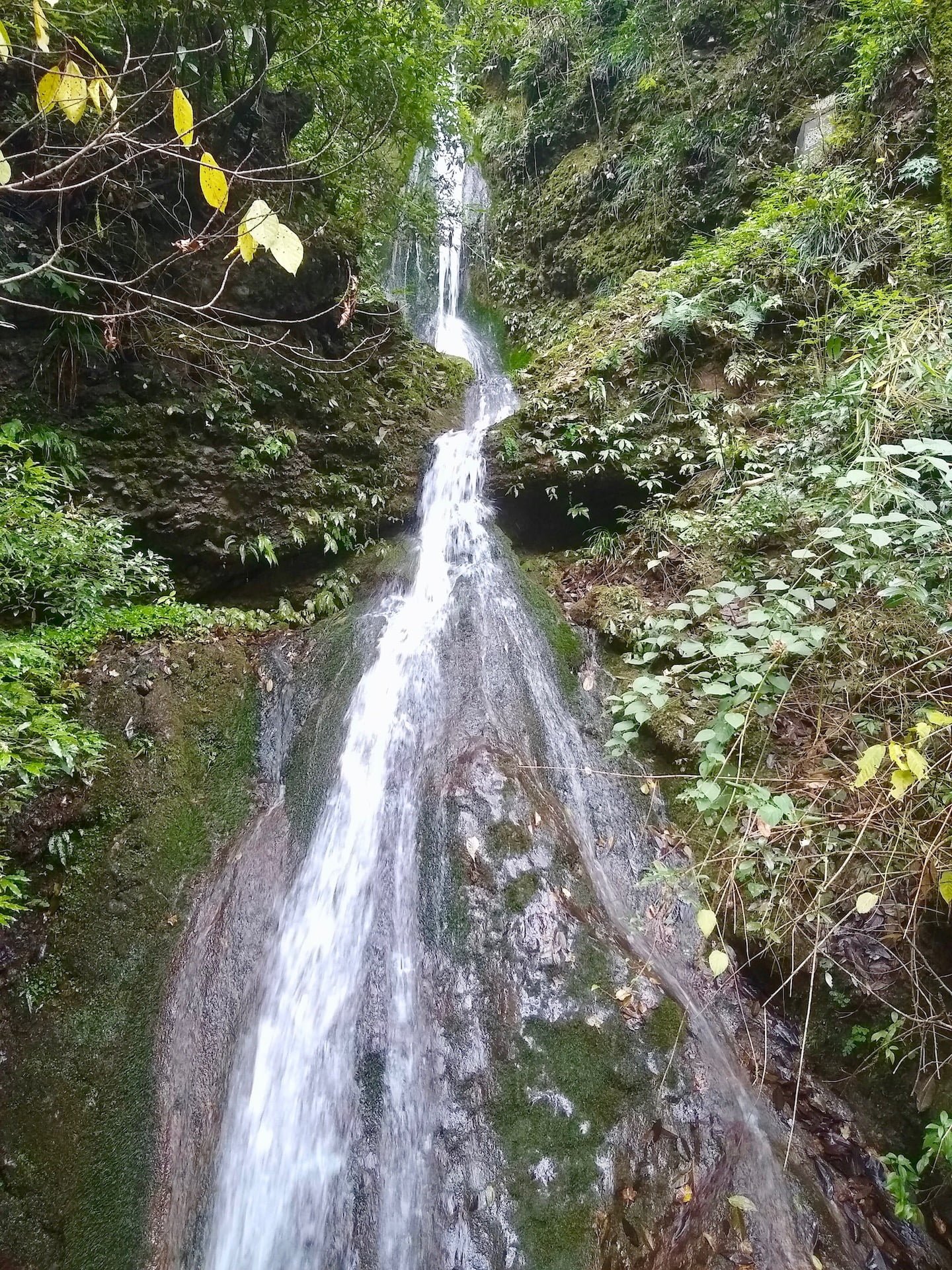 A beautiful waterfall in Qingchengshan back mountain