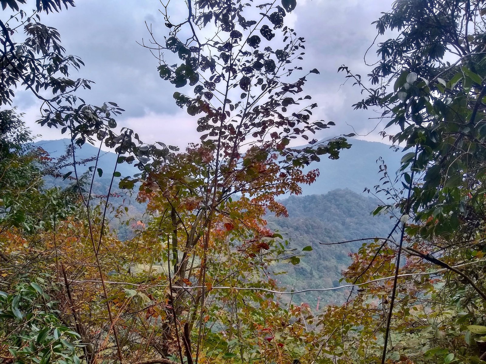 Fall foliage at Qingcheng back mountain, Sichuan Province, China