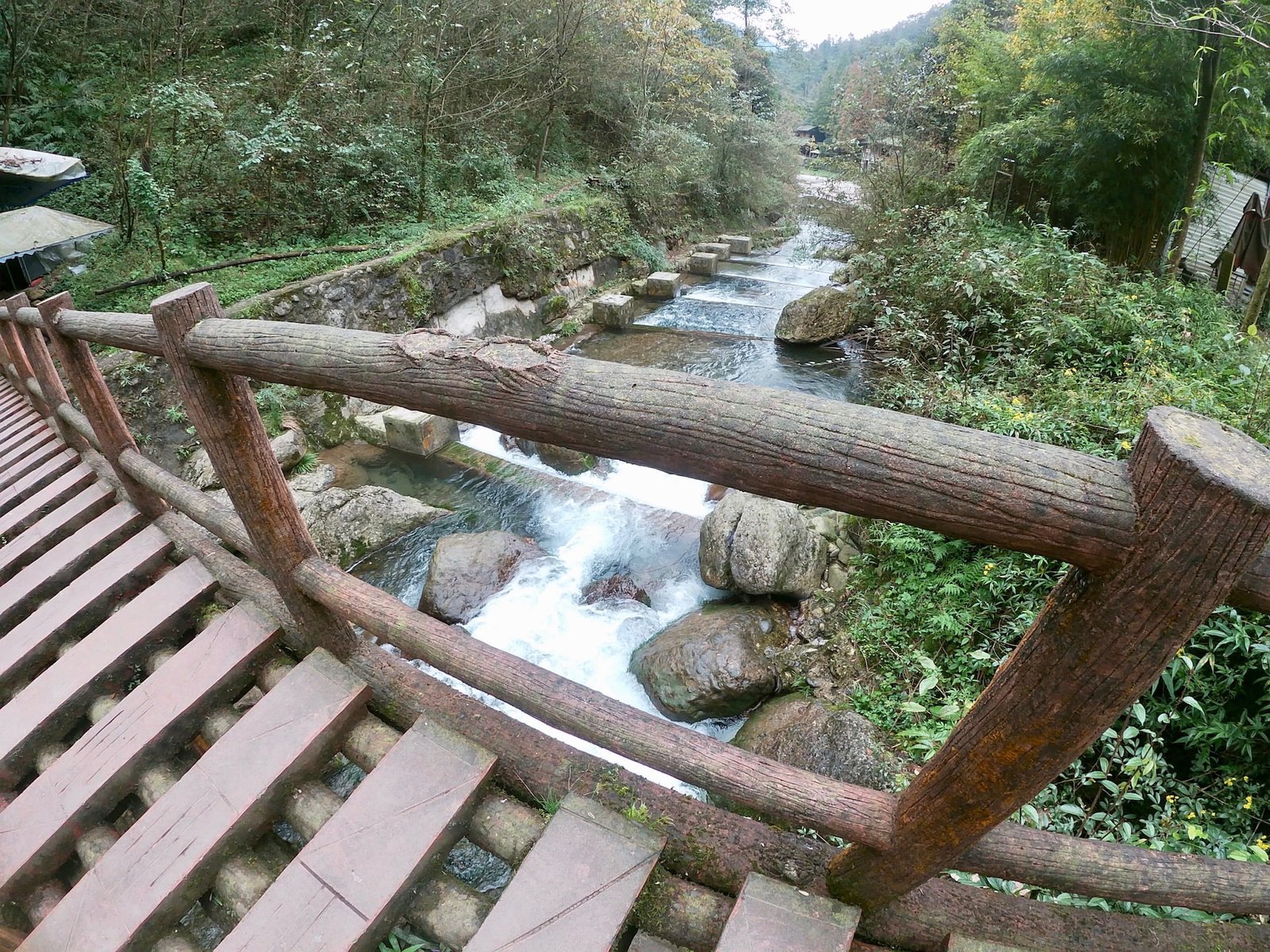 Hiking Qingcheng Back Mountain: beautiful scenery and log bridges across running water: the perfect day trip from Chengdu. 