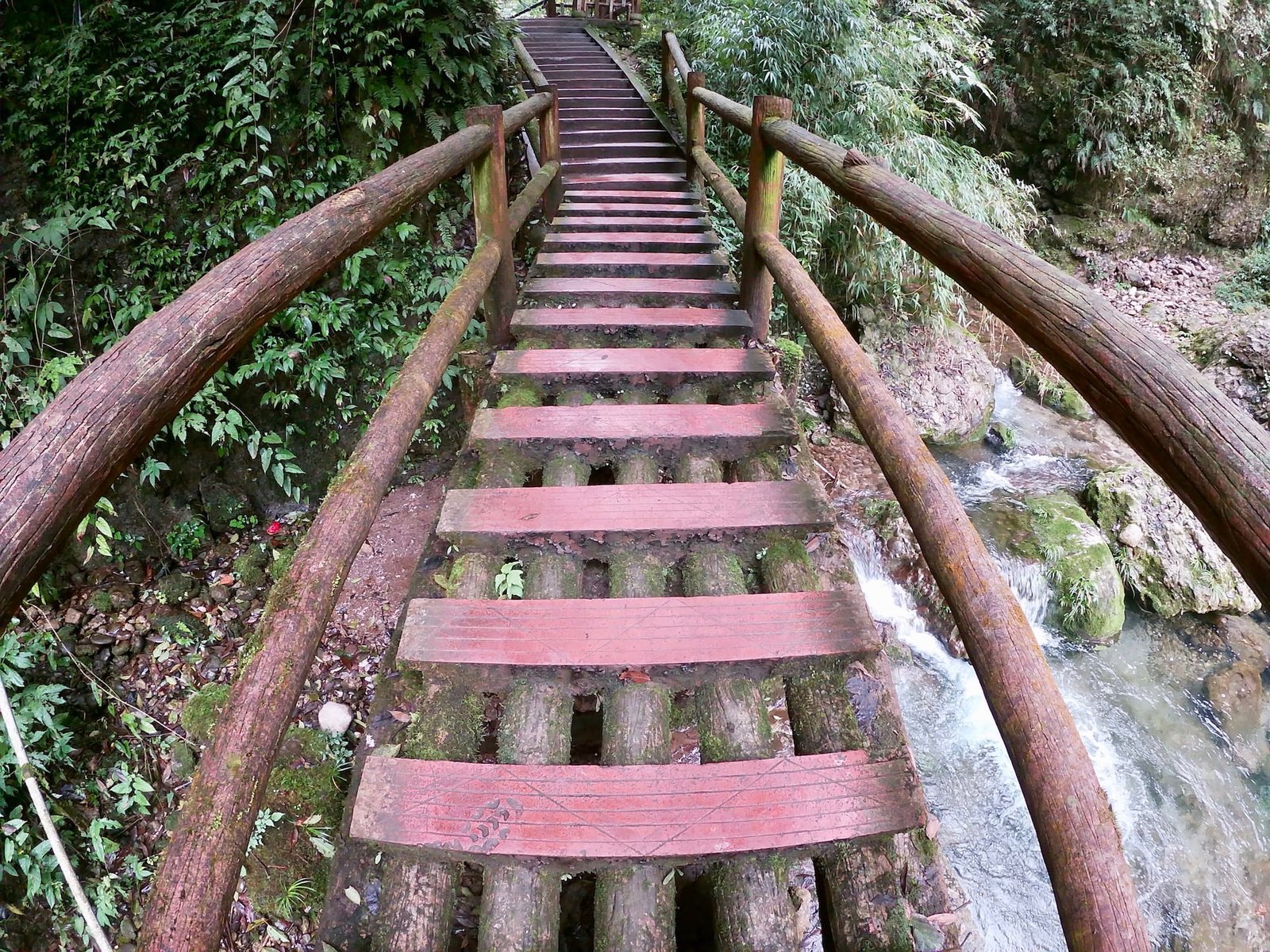 Log bridges over running water is common at Mounta Qingcheng (back mountain)