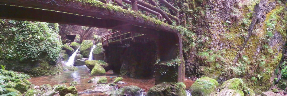 Hiking Qingcheng Back Mountain | A beautiful day hiking trip from Chengdu, Qingcheng back mountain is beautiful, cheap, and has shockingly few tourists.