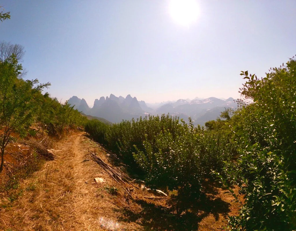 Hiking in Guilin, China | The best hiking options in Guilin and surrounding area. The hikes range from 45-minutes to hours, suitable for all different levels of fitness.