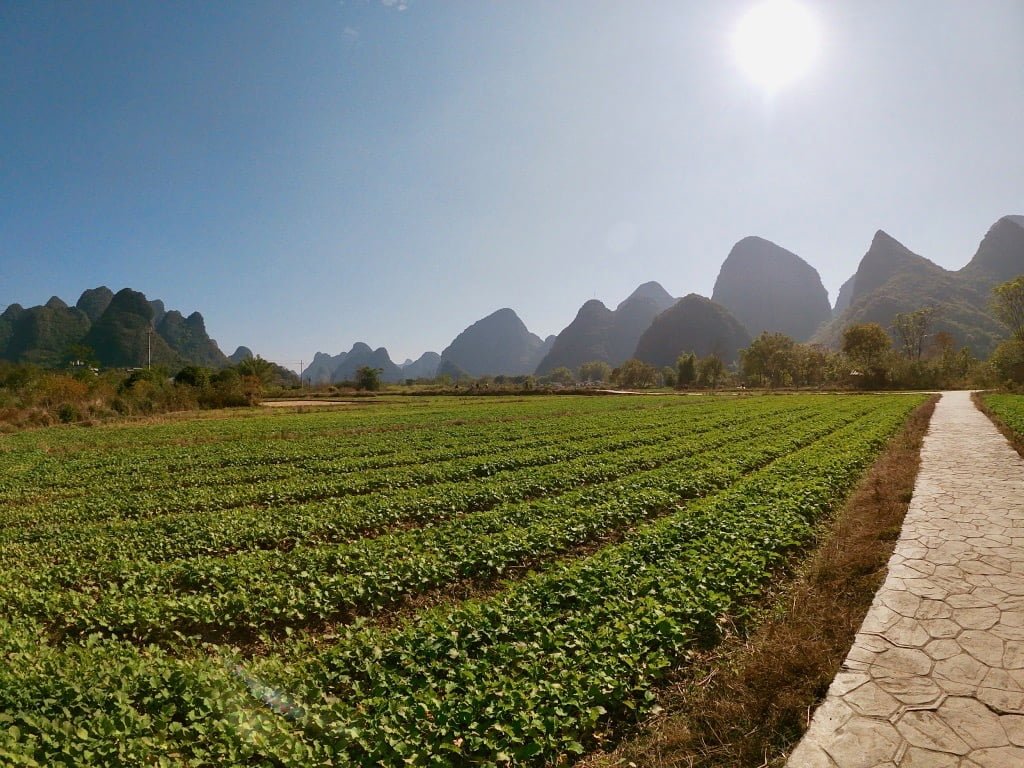Farmland in Yangshuo and karst mountains off of the main Yangshuo cycling path