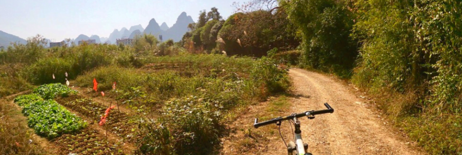 Cycling in Yangshuo, China | Biking the 10-Mile Gallery is a must-do if you're in the Guilin area of China. Yangshuo is a quick bus or train ride away, and offers beautiful views of the karst landscape.