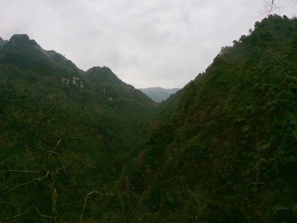 Emeishan Hiking up Emeishan and seeing lush green mountains before getting to the snowy top