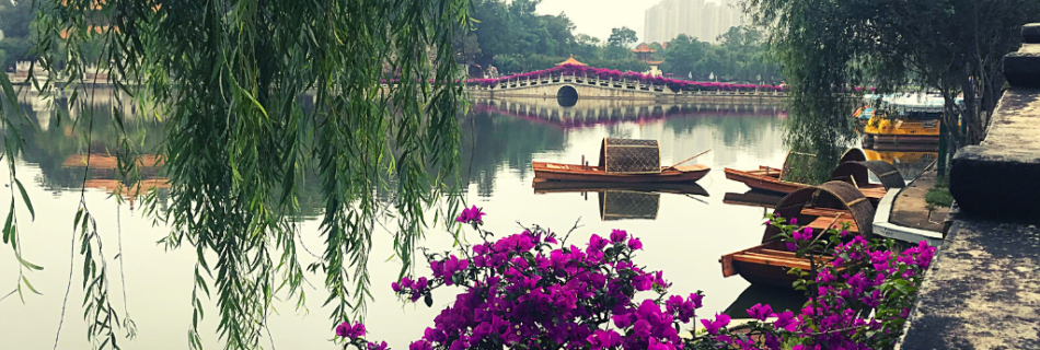 A picture of a lake and purple flowers in Kunming, China; article is about traveling in China during COVID-19