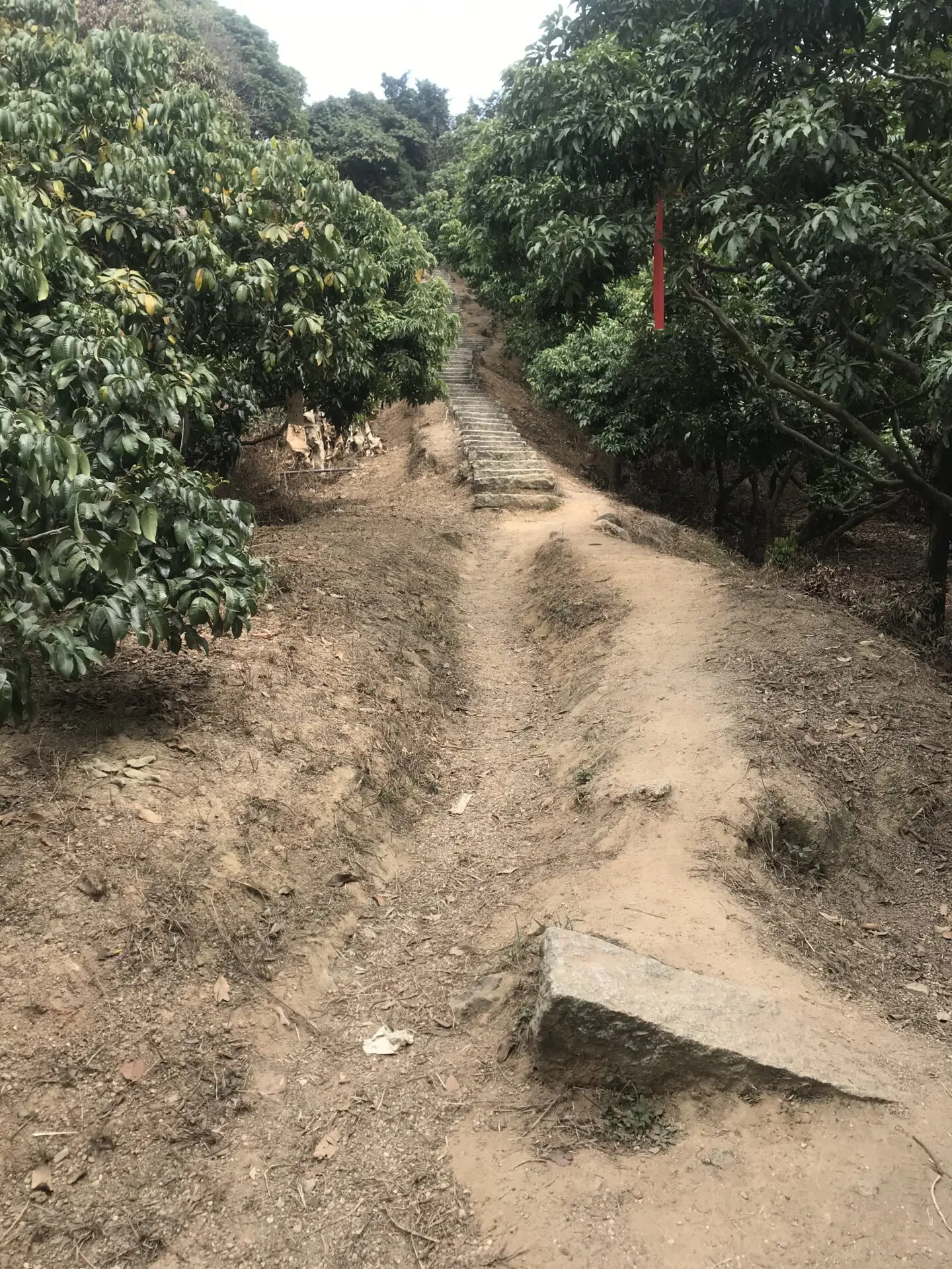 Dirt path on a hike in Meilinshan in Shenzhen, China