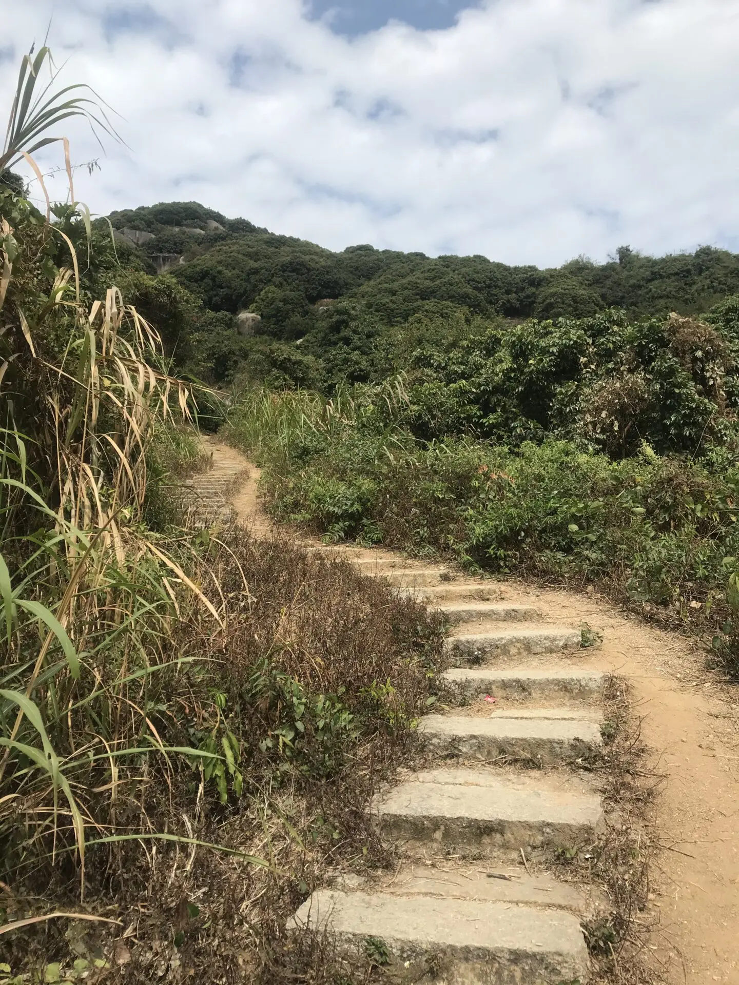 Dirt path on a hike in Shenzhen, China at Meilin mountain