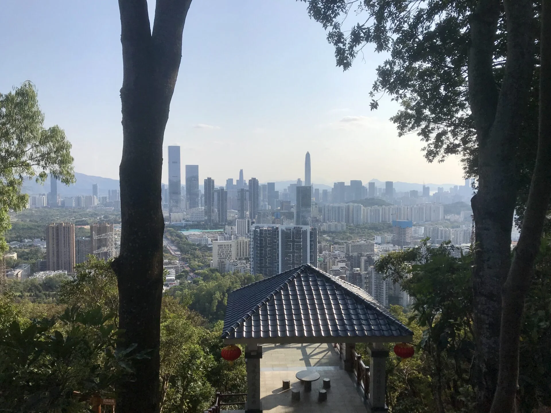 City of Shenzhen, as seen from a hike at Yinhu mountain